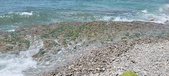 Enlarge photo 94