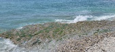 Enlarge photo 95