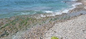 Enlarge photo 96