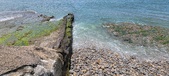 Enlarge photo 97