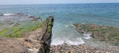 Enlarge photo 98