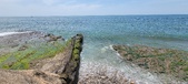 Enlarge photo 99