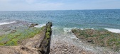 Enlarge photo 101