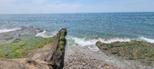 Enlarge photo 102