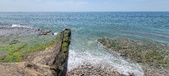 Enlarge photo 104