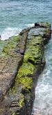 Enlarge photo 135