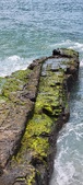 Enlarge photo 136