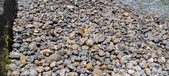 Enlarge photo 137
