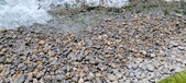 Enlarge photo 138