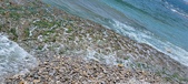 Enlarge photo 140