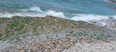 Enlarge photo 141