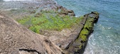 Enlarge photo 143