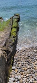 Enlarge photo 145
