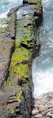 Enlarge photo 146
