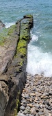 Enlarge photo 147