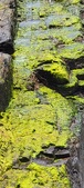 Enlarge photo 148