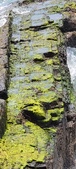 Enlarge photo 149