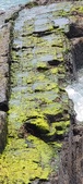 Enlarge photo 150