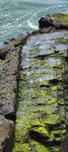 Enlarge photo 151