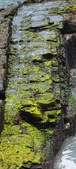Enlarge photo 152