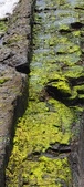 Enlarge photo 153