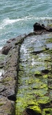 Enlarge photo 154
