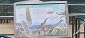Enlarge photo 161
