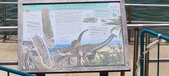 Enlarge photo 162