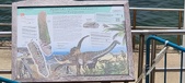 Enlarge photo 163
