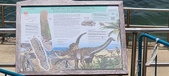 Enlarge photo 164