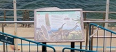 Enlarge photo 166