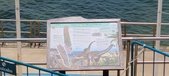 Enlarge photo 167