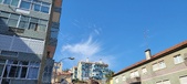 Enlarge photo 179