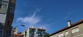 Enlarge photo 182