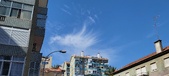 Enlarge photo 184