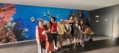Enlarge photo 185