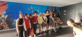 Enlarge photo 186