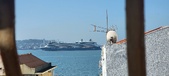 Enlarge photo 260
