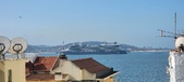 Enlarge photo 272