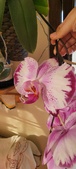 Enlarge photo 205