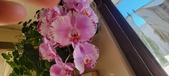 Enlarge photo 207