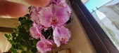 Enlarge photo 208