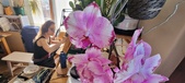 Enlarge photo 244