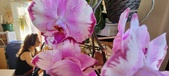 Enlarge photo 245