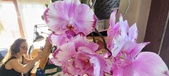 Enlarge photo 246