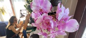 Enlarge photo 247