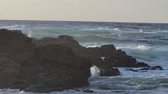 Enlarge MPEG4 22