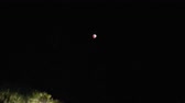 Enlarge MPEG4 28