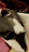 Enlarge MPEG4 5