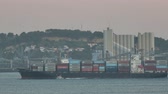 Enlarge MPEG4 12